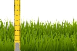 artificial grass with optimal pile height