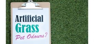 problems with artificial grass