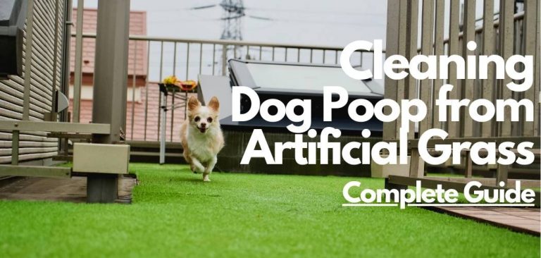 how to clean artificial grass dog poop