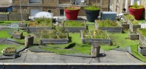 fake grass use on roof garden